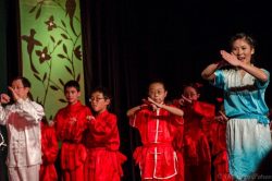 Chinese Martial Arts